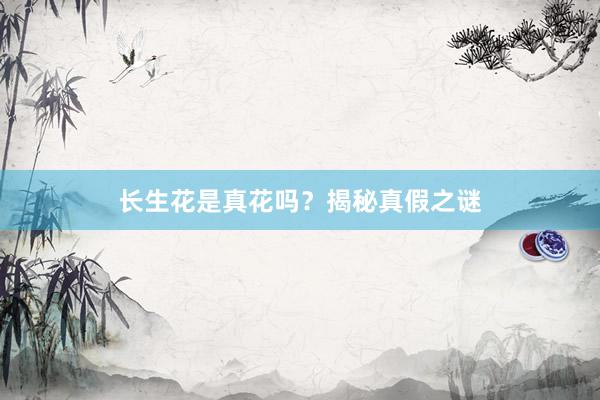 长生花是真花吗？揭秘真假之谜