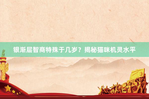 银渐层智商特殊于几岁？揭秘猫咪机灵水平