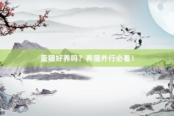 蓝猫好养吗？养猫外行必看！
