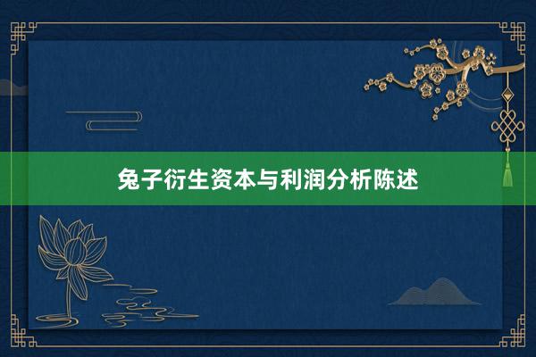 兔子衍生资本与利润分析陈述